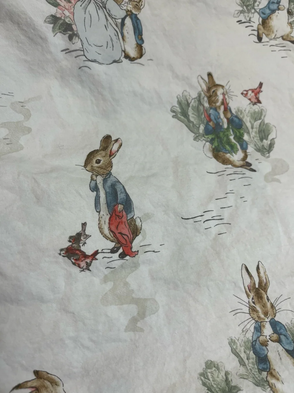 Pottery Barn Kids Peter Rabbit Organic Crib 0487 Fitted Sheet Beatrix Potter